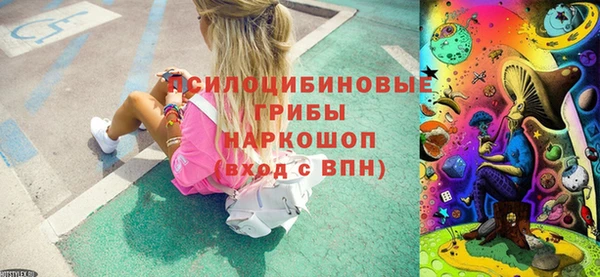 ГАЛЛЮЦИНОГЕННЫЕ ГРИБЫ Алексин