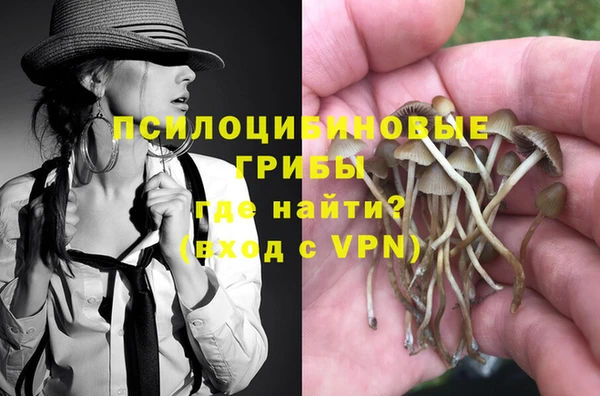ГАЛЛЮЦИНОГЕННЫЕ ГРИБЫ Алексин