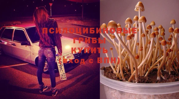 экстази Алзамай