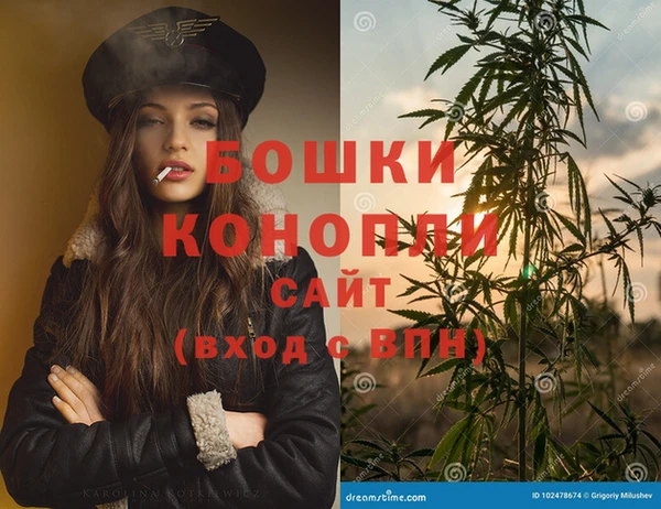 ГАЛЛЮЦИНОГЕННЫЕ ГРИБЫ Алексин
